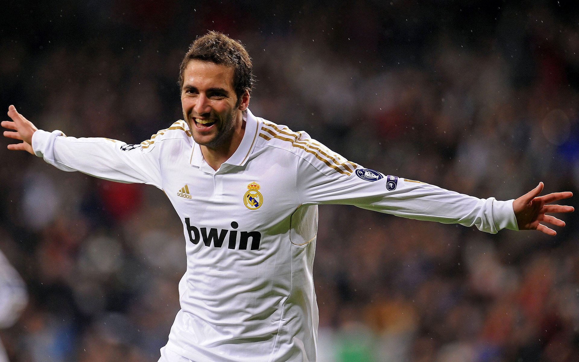 摩洛哥马术协会建立马匹基因数据库，促进马匹选育与训练。，摩洛哥马赛克简介